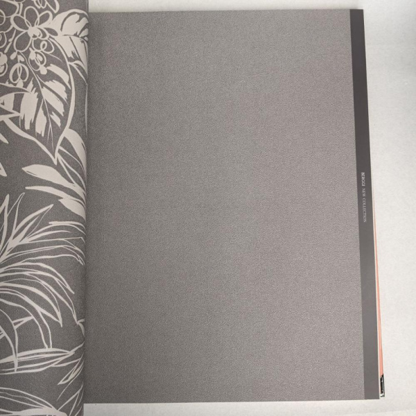 Andrea Rossi Berggi 54445-5