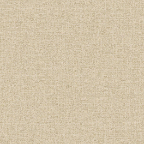 Alessandro Allori Giorgio RGI 1008-6