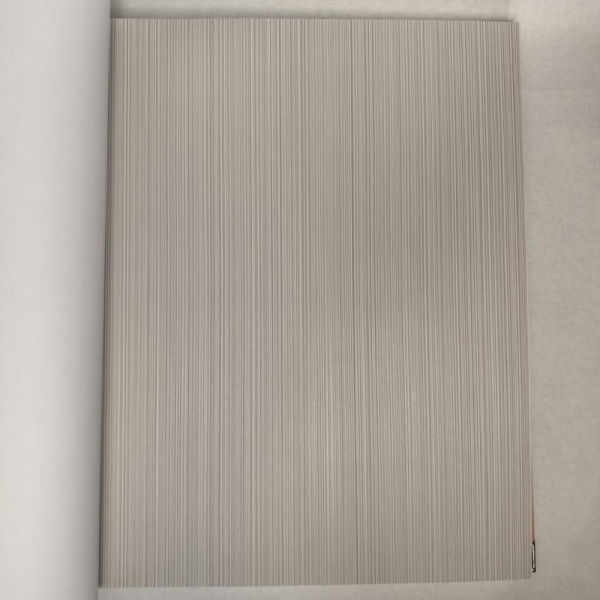 Andrea Rossi Berggi 54447-5