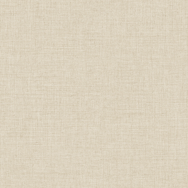 Alessandro Allori Giorgio RGI 1004-5