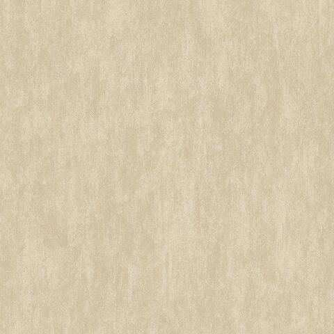 Andrea Rossi Barbana 54289-5