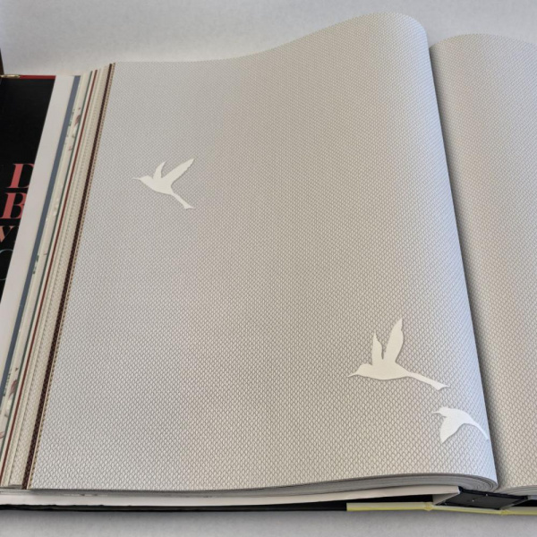 Andrea Rossi Spectrum Box 54458-6