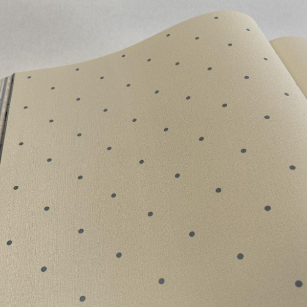 Andrea Rossi Spectrum Box 54454-23