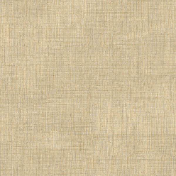 Alessandro Allori Giorgio RGI 1010-9