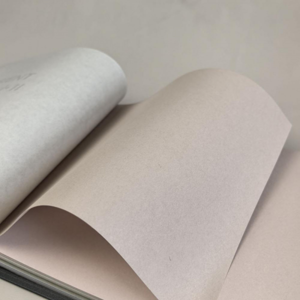 Milassa Ambient AM 9 002/2 Milassa Ambient AM 9 002/2