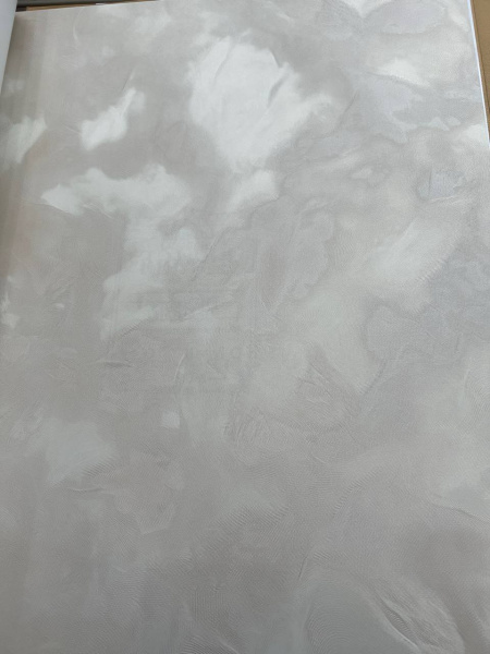 Bristar Felice DF 20443