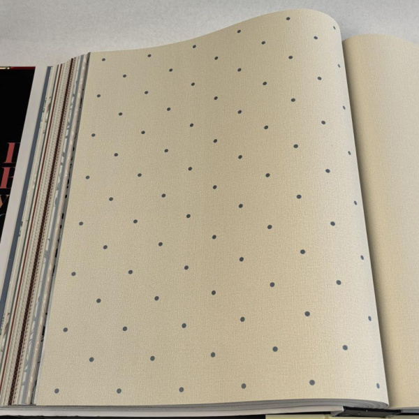 Andrea Rossi Spectrum Box 54454-23